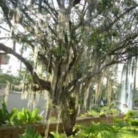 Foto de Bucaramanga