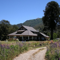 Foto de Lago Paimún