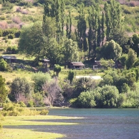 Foto de Lago Paimún