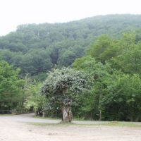 Foto de Parque Natural Saja-Nansa