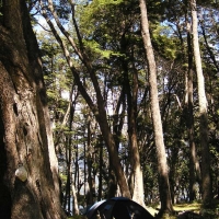 Foto de Lago Huechulafquen