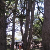 Foto de Lago Paimún