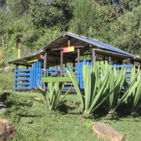 Foto de Guarne