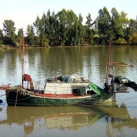 Foto de Coria del Río