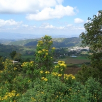 Foto de Barquisimeto