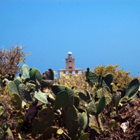 Foto de Tabarca