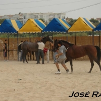 Foto de Sanlúcar de Barrameda