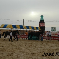 Foto de Sanlúcar de Barrameda