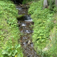 Foto de Mürren