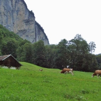 Foto de Lauterbrunnen