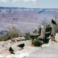 Foto de Arizona