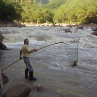 Foto de Gran Chaco Tarija