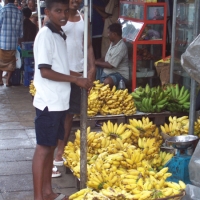 Foto de Colombo