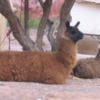 Foto de Jujuy