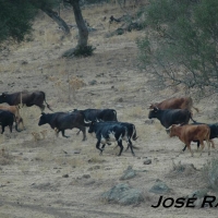 Foto de San José del Valle