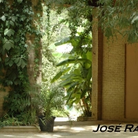 Foto de Jerez  de la Frontera