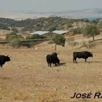 Foto de San José del Valle