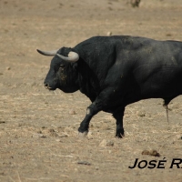 Foto de San José del Valle