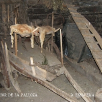 Foto de Lugo