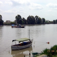 Foto de Coria del Río