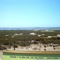 Foto de Cabo de Gata