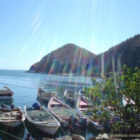 Foto de Playa Valdez Porlamar