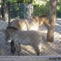 Foto de Jerez de la Frontera