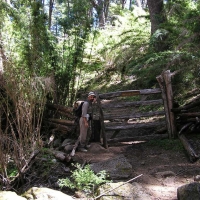 Foto de Lago Paimún
