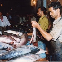 Foto de Taiz