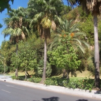 Foto de Marbella