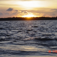 Foto de La Bocana - Buenaventura valle