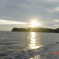 Foto de Pianguita - Buenaventura Valle
