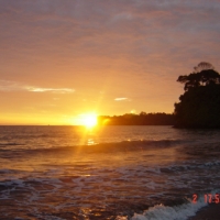 Foto de Pianguita Buenaventura Valle