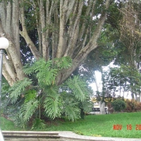 Foto de San José - San Juan de Tibás