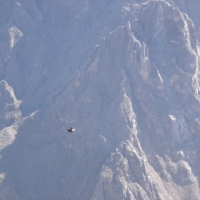 Foto de Cañón del Colca