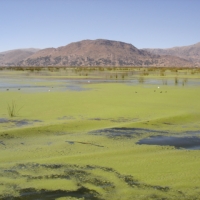 Foto de Lago Titicaca