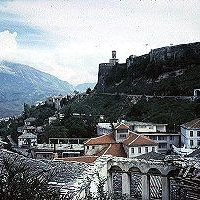 Foto de tirana