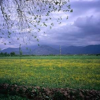 Foto de tirana(norte)