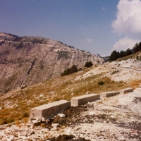 Foto de saranda