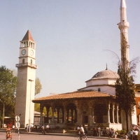 Foto de tirana