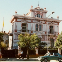 Foto de tirana