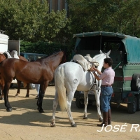 Foto de Jerez  de la Frontera