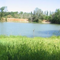 Foto de Zaragoza