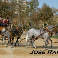 Foto de Jerez  de la Frontera