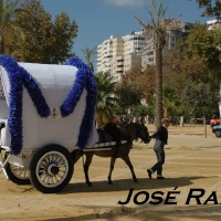 Foto de Jerez  de la Frontera