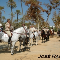 Foto de Jerez  de la Frontera