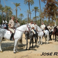 Foto de Jerez  de la Frontera