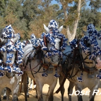 Foto de Jerez  de la Frontera