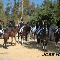 Foto de Jerez  de la Frontera