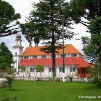 Foto de selva central -oxapampa